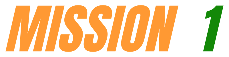 Mission 91