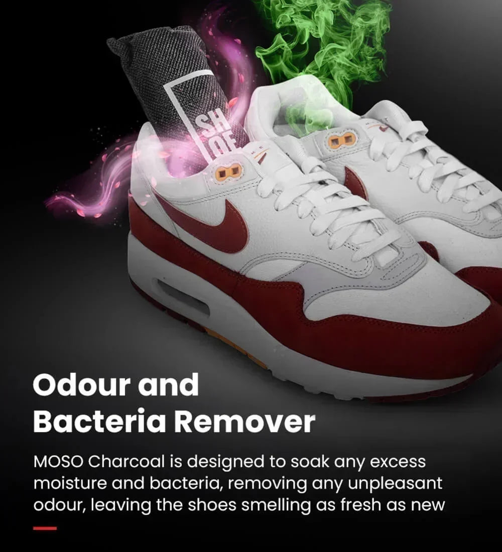 Charcoal Freshener