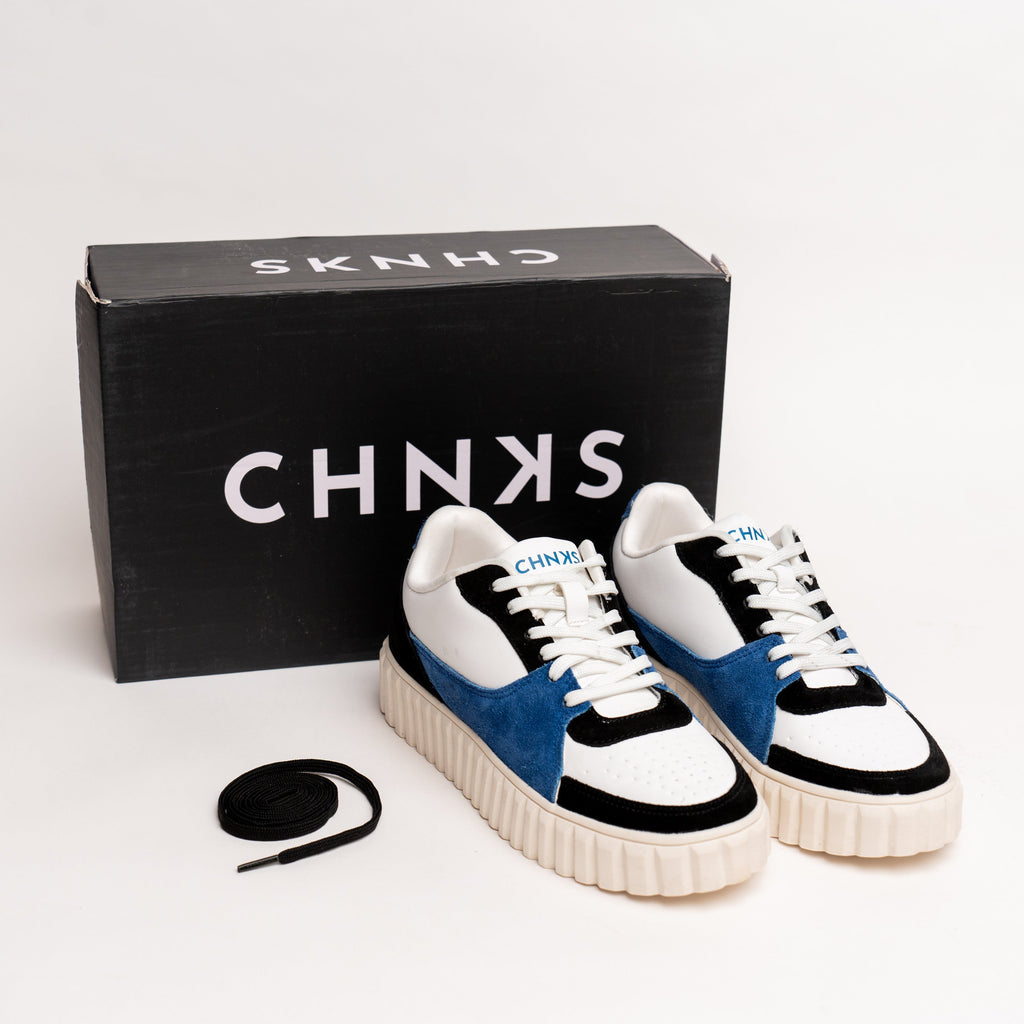 THE BLUE JAY CHNKS