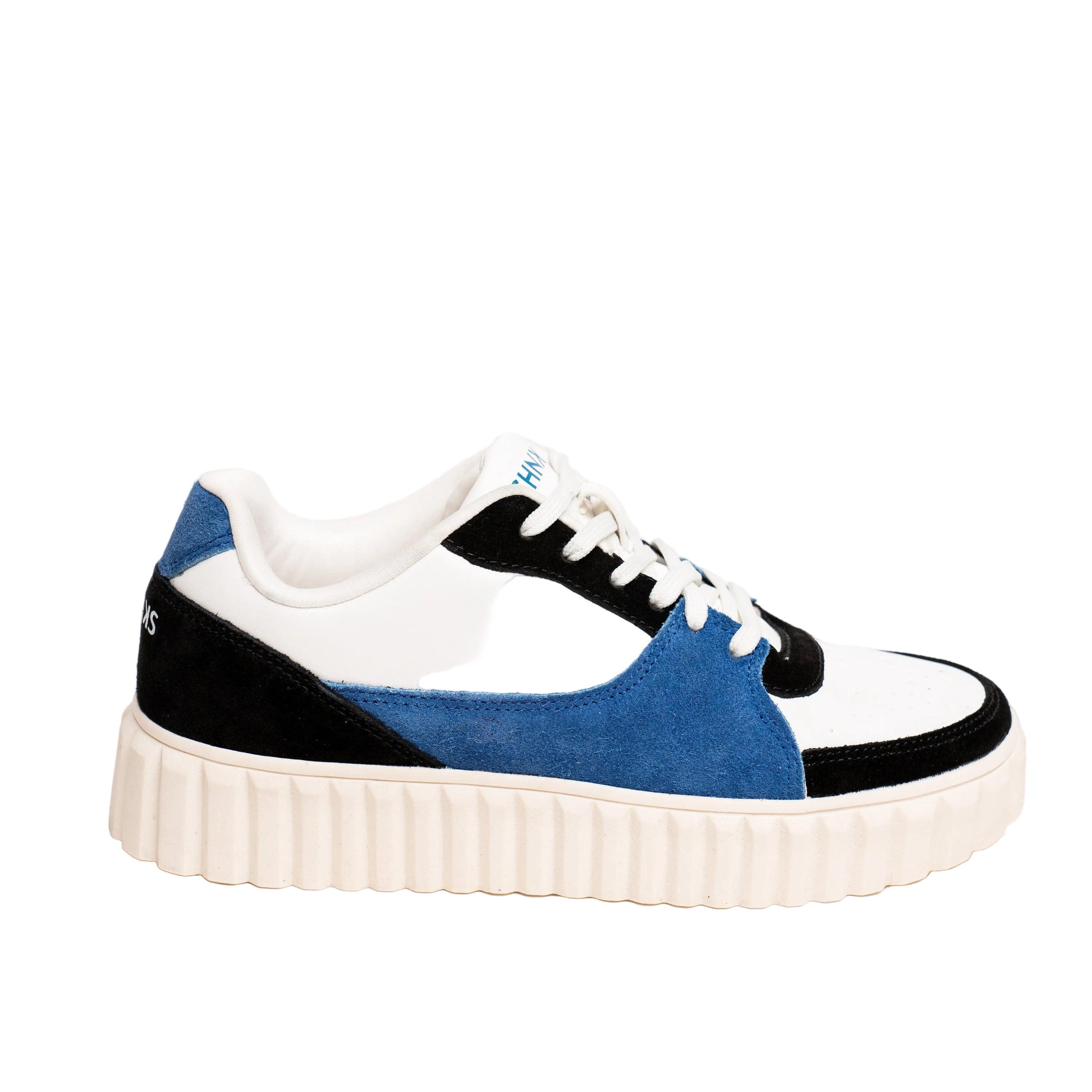 THE BLUE JAY CHNKS