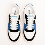 THE BLUE JAY CHNKS