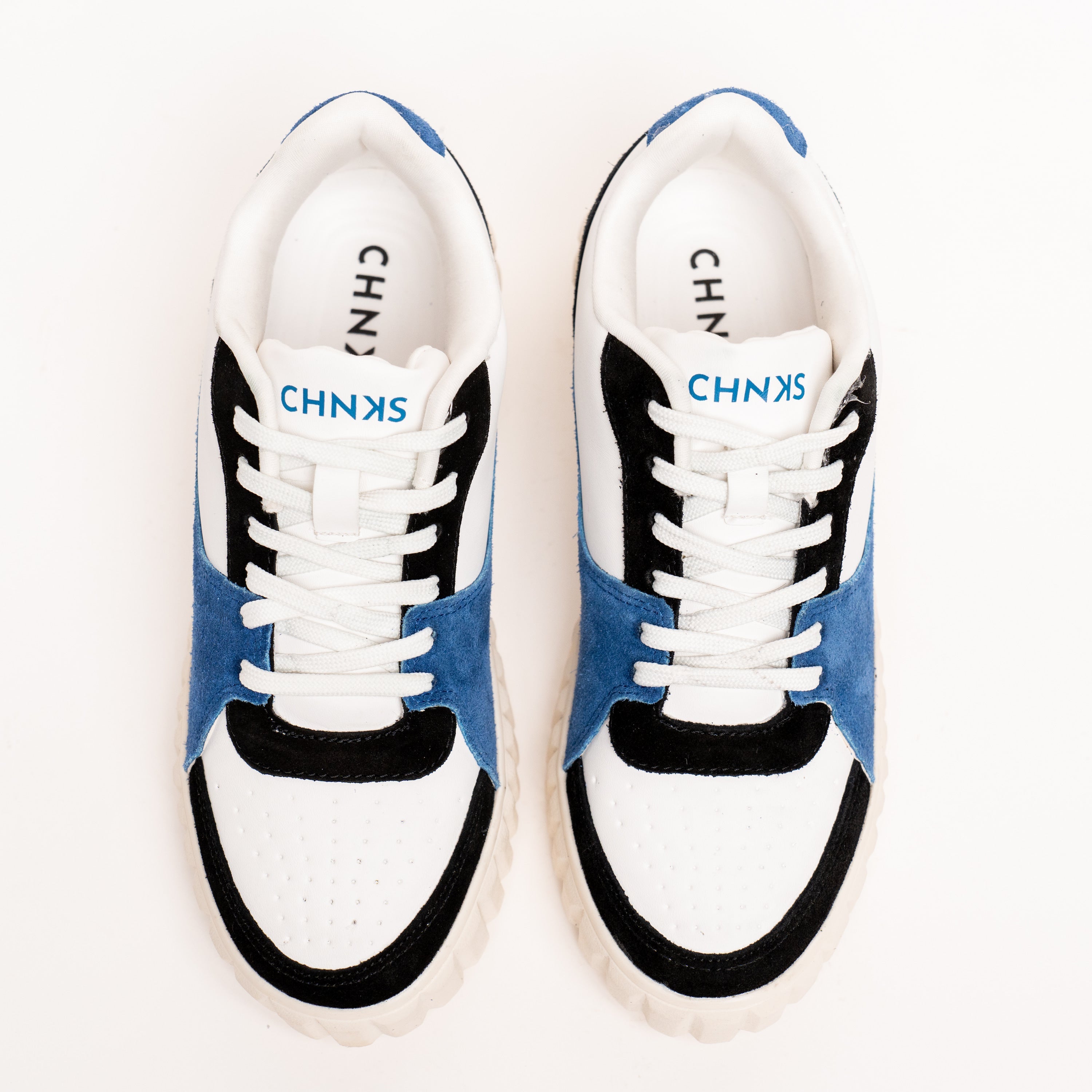 THE BLUE JAY CHNKS