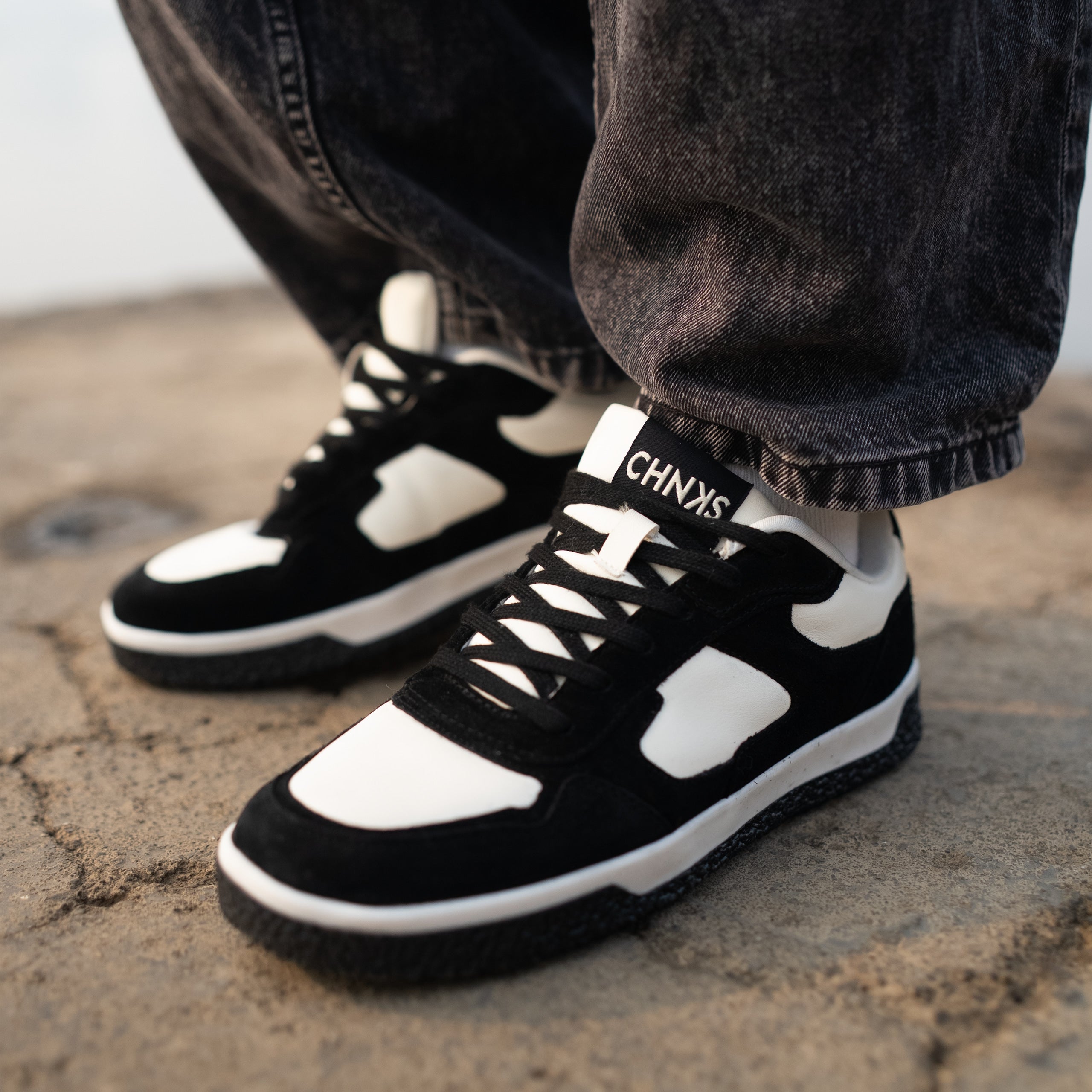 THE DALMATIAN CHNKS