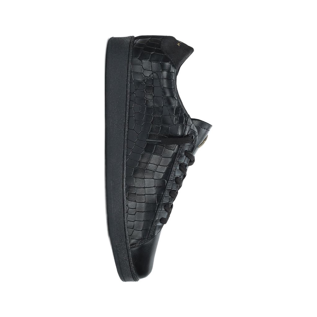 noctrogator slot 1