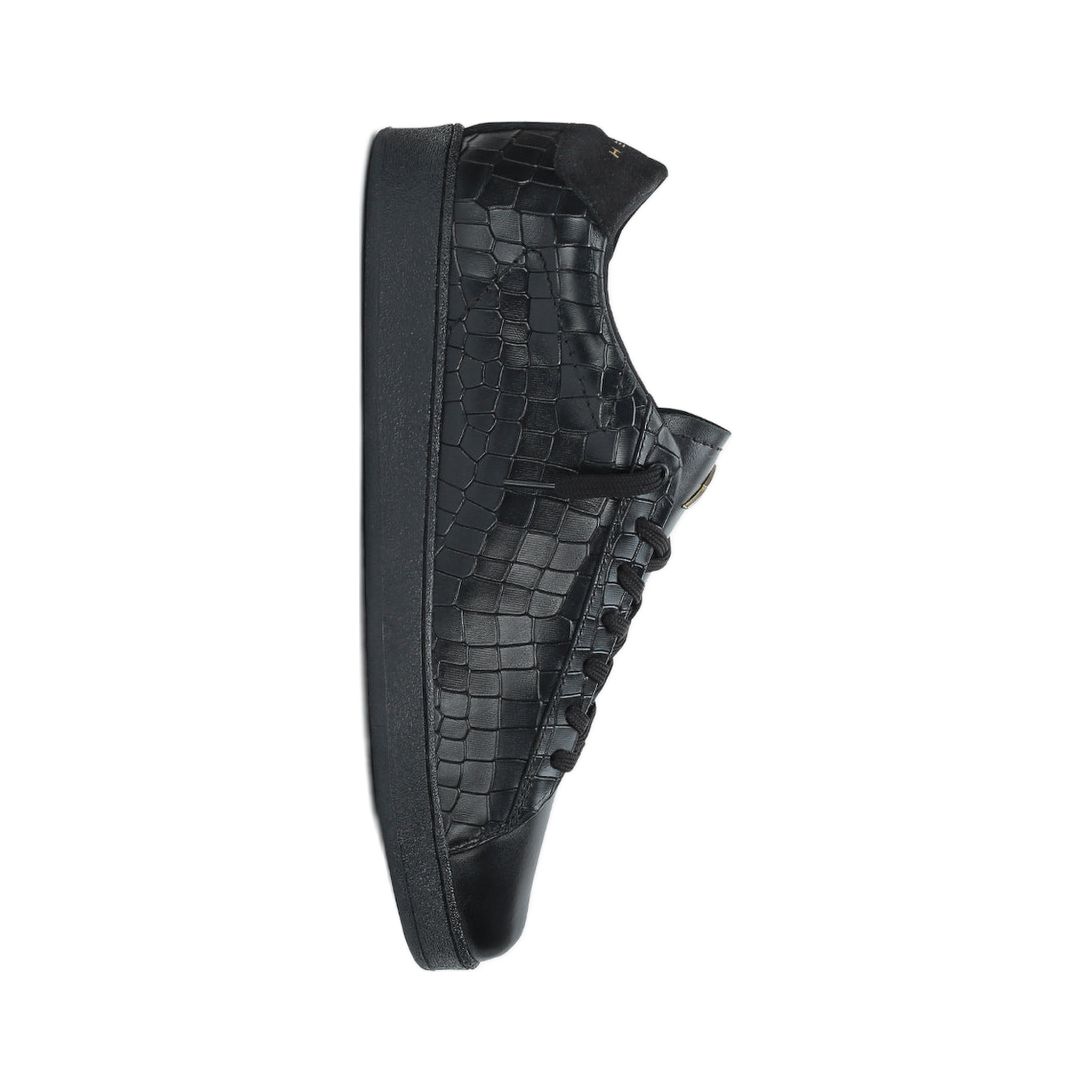 noctrogator slot 1